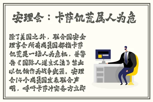 能**神里绫华的软件